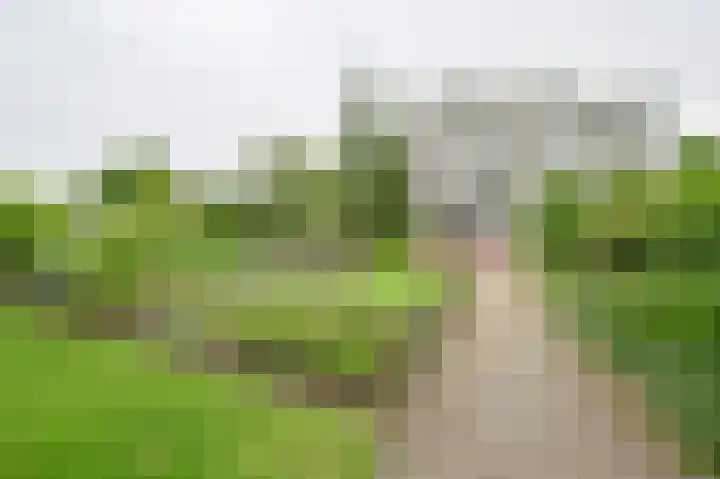 Valkenstede 74 Hoogeveen thumbnail 50