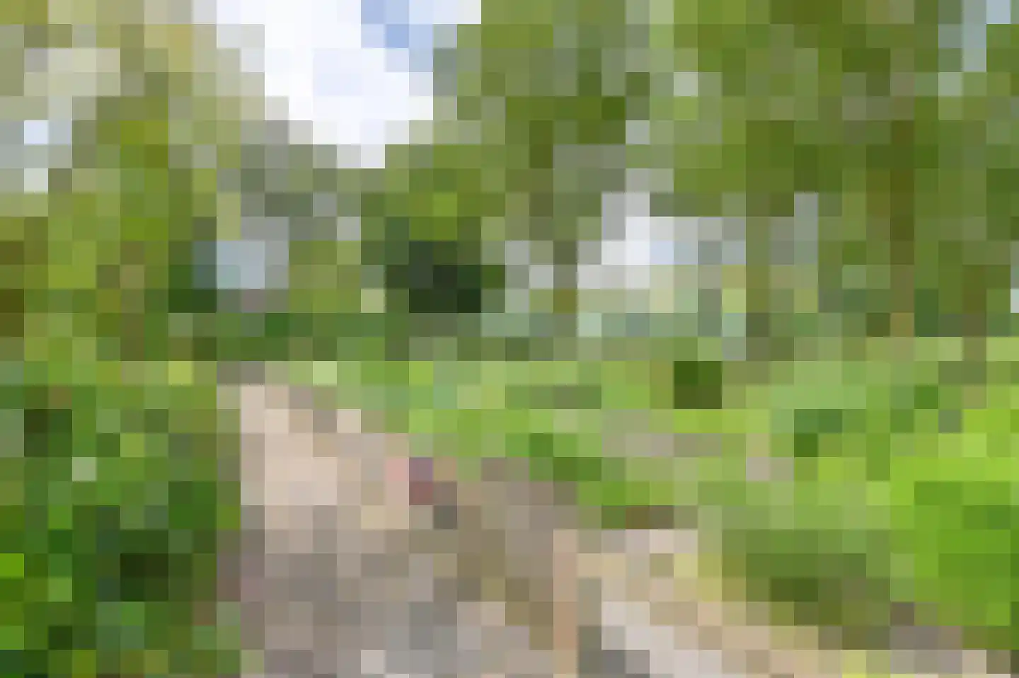 Valkenstede 82 Hoogeveen thumbnail 40