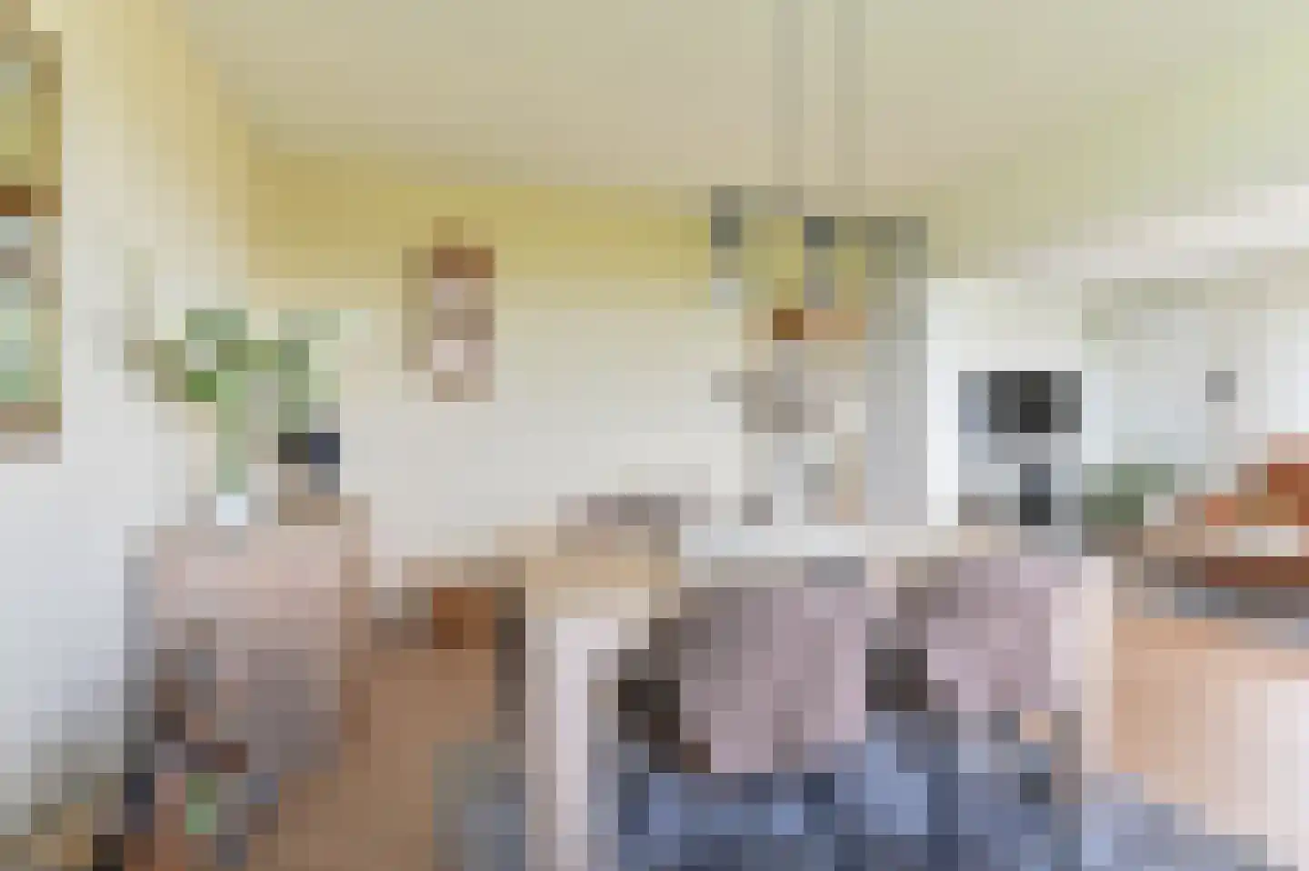 Valkenstede 82 Hoogeveen thumbnail 9
