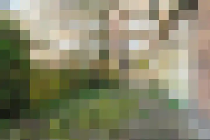 Valkenstein 88 3 Amsterdam thumbnail 31