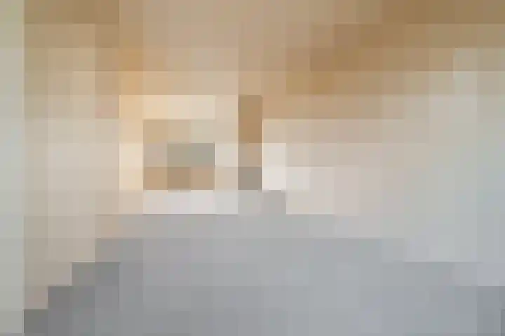 Valkenstein 88 3 Amsterdam thumbnail 7