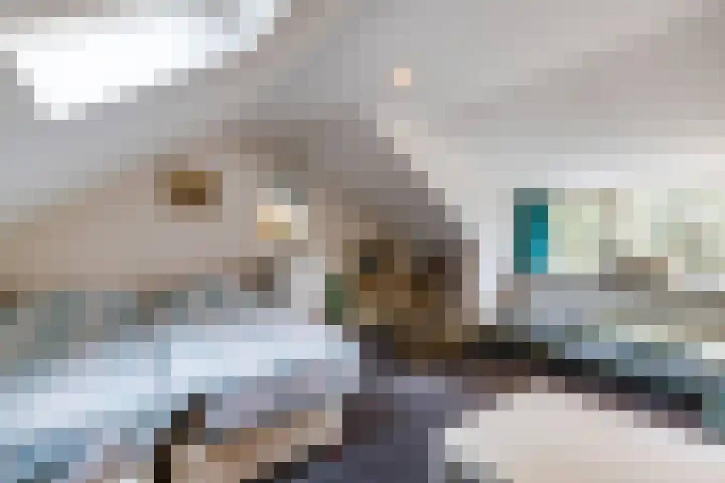 Valkenstraat 12 Teteringen thumbnail 39