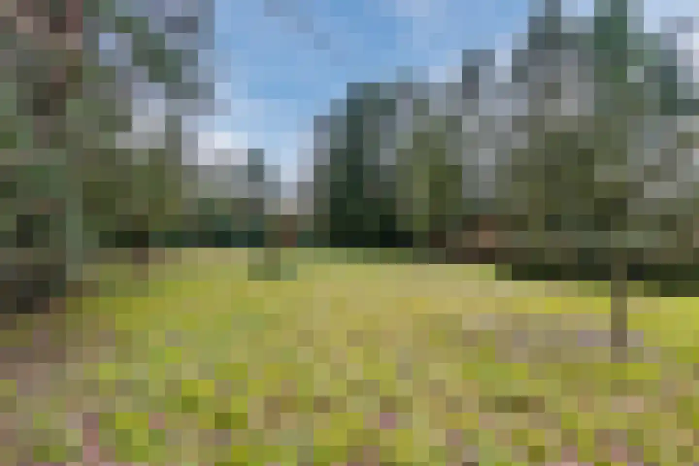 Valkenstraat 12 Teteringen thumbnail 4