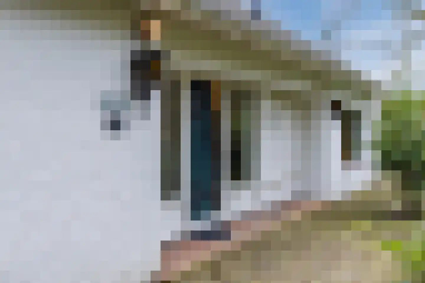 Valkenstraat 12 Teteringen thumbnail 6