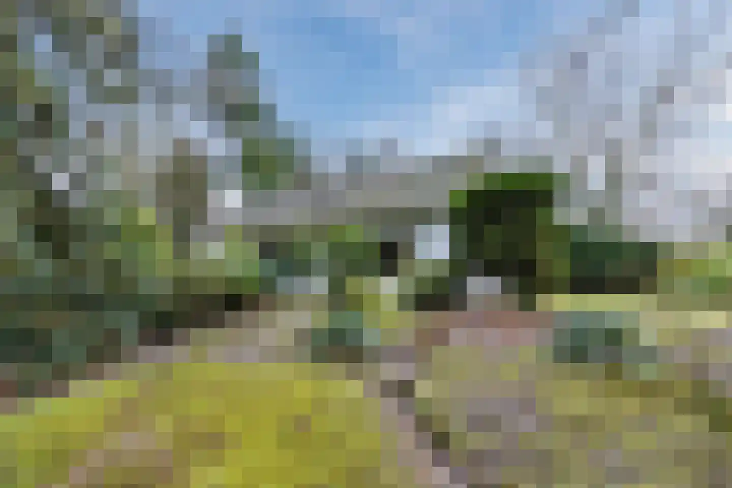 Valkenstraat 12 Teteringen thumbnail 63