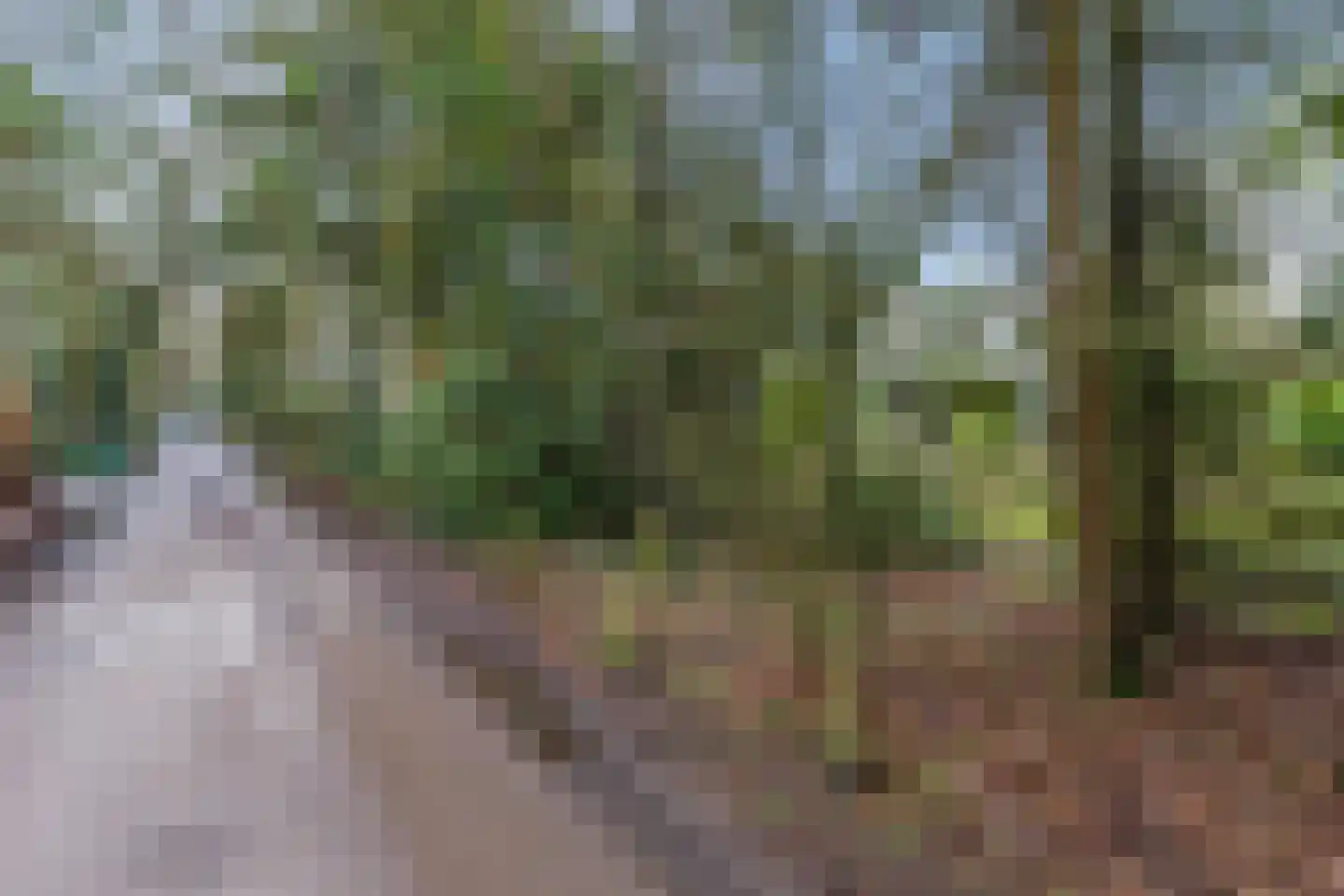 Valkenstraat 12 Teteringen thumbnail 65