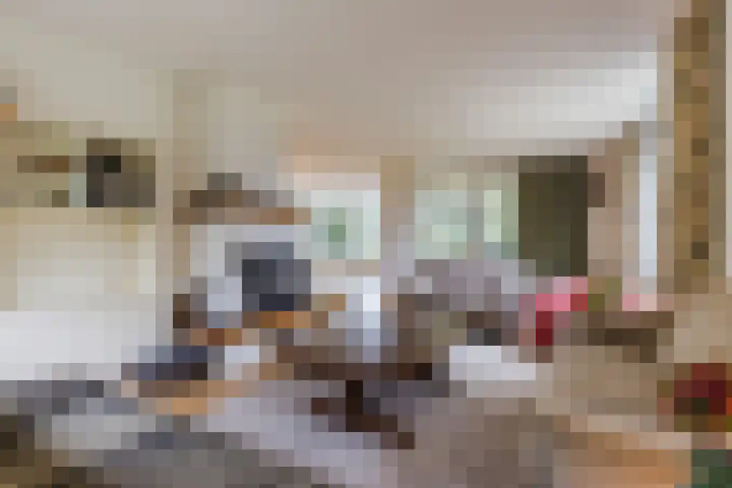Valkenstraat 12 Teteringen thumbnail 8