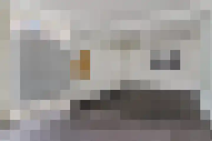 Valkenstraat 15 A Breda thumbnail 17
