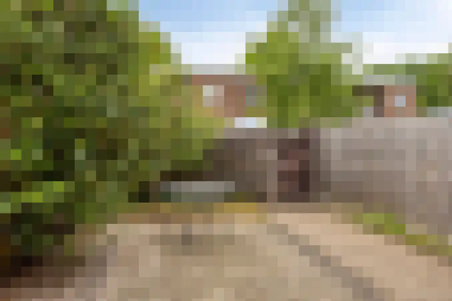 Valkenstraat 65 Enschede thumbnail 29
