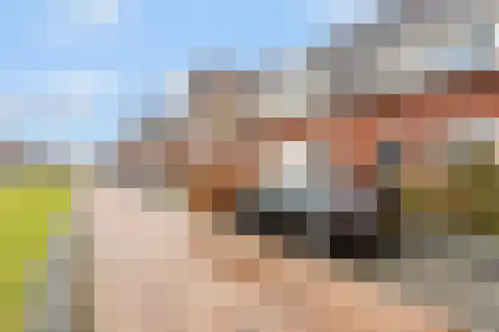 Valkenswaardstraat 61 Tilburg thumbnail 37