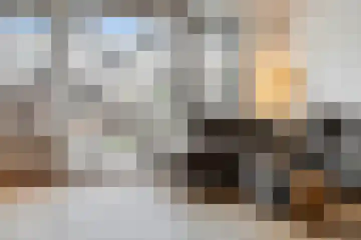 Valkenswaardstraat 61 Tilburg thumbnail 4