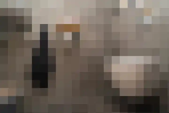 Valkenswaardstraat 65 Tilburg thumbnail 13