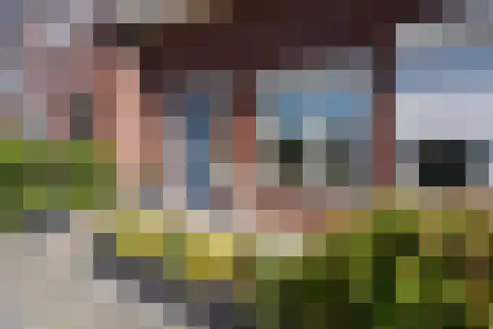 Valkenswaardstraat 65 Tilburg thumbnail 7