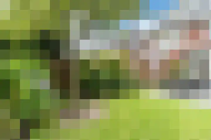 Valkenswaardstraat 66 Tilburg thumbnail 47