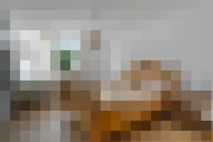 Valkenveld 131 Emmen thumbnail 15