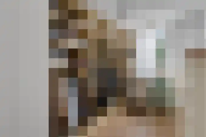 Valkenveld 131 Emmen thumbnail 17