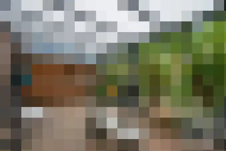 Valkenveld 131 Emmen thumbnail 29