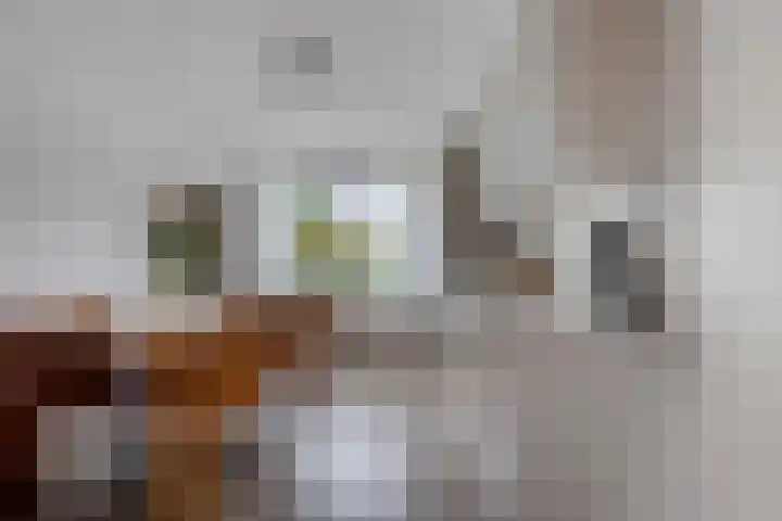 Valkenveld 131 Emmen thumbnail 8