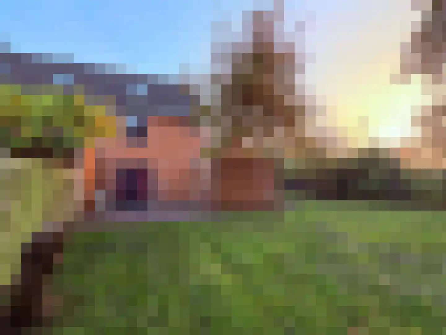 Valkenveld 21 Roden thumbnail 11