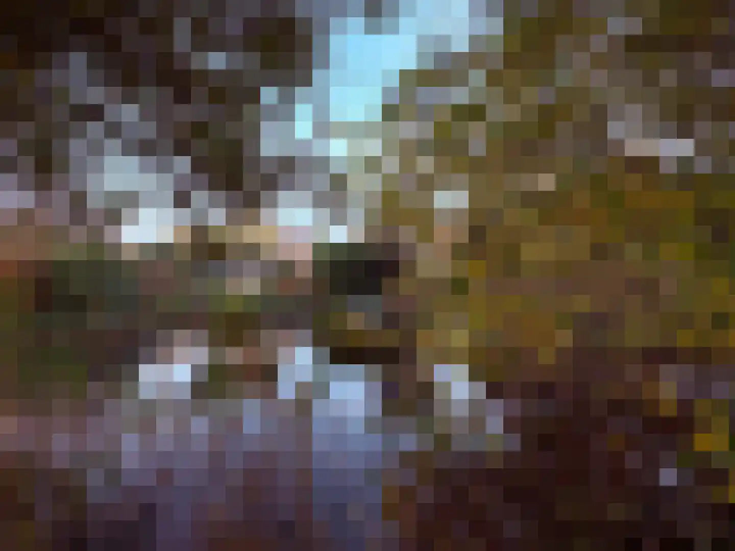 Valkenveld 21 Roden thumbnail 14