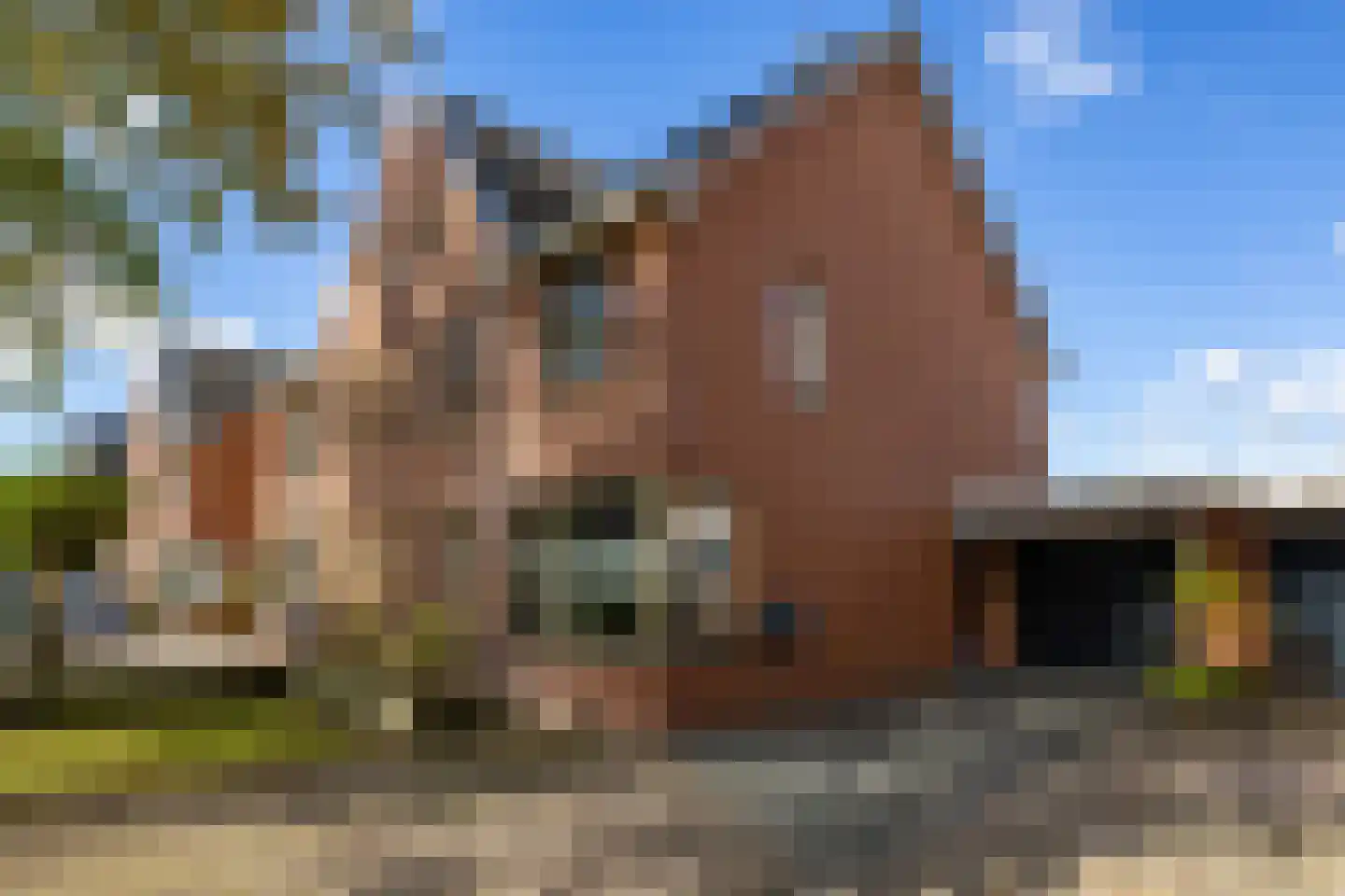 Valkenveld 7 Roden thumbnail 6