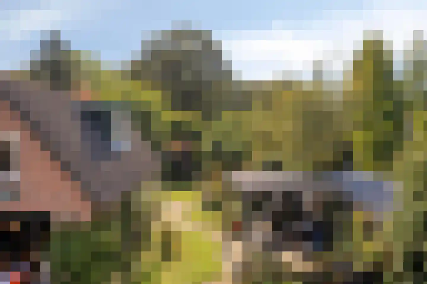 Valkenweg 125 Apeldoorn thumbnail 18
