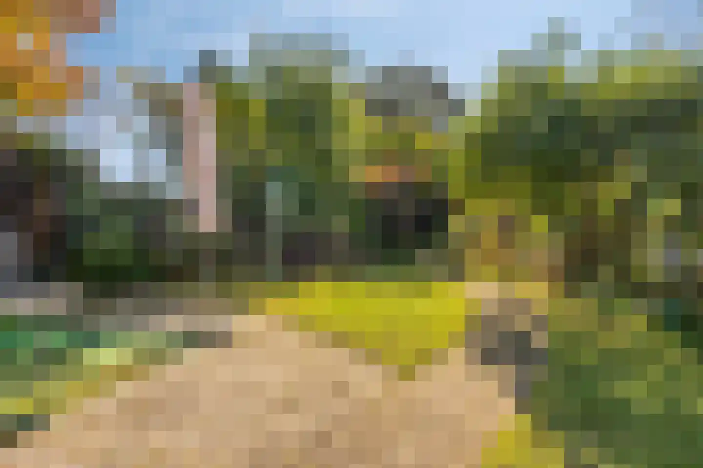 Valkenweg 125 Apeldoorn thumbnail 20