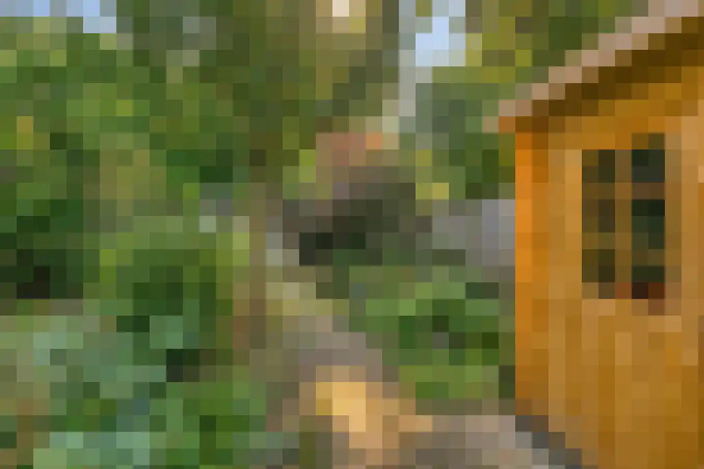Valkenweg 125 Apeldoorn thumbnail 21