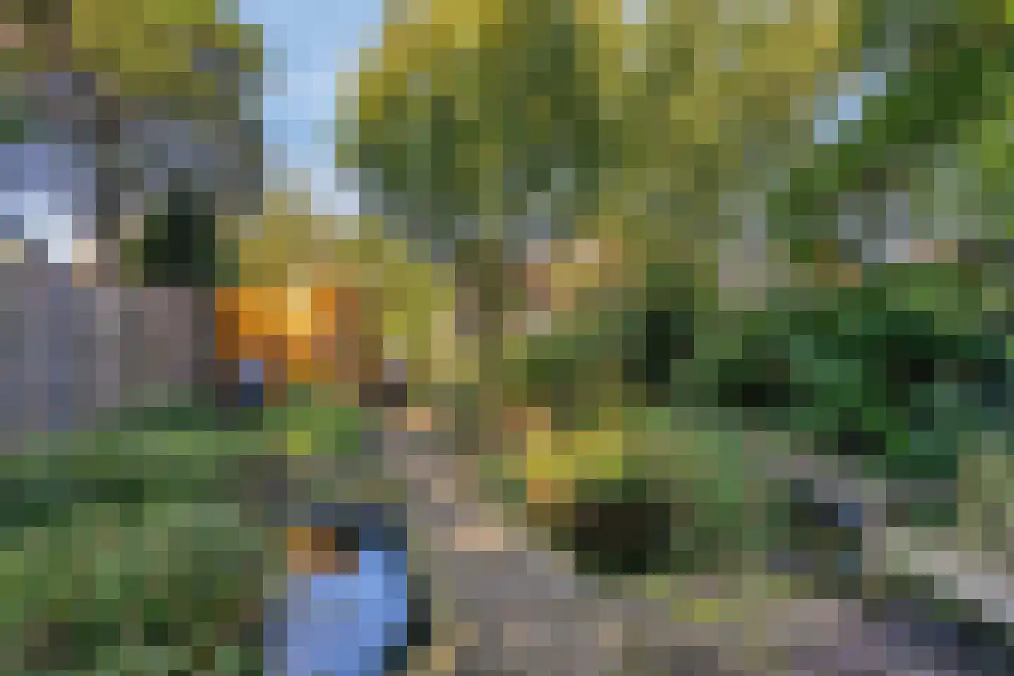 Valkenweg 125 Apeldoorn thumbnail 23