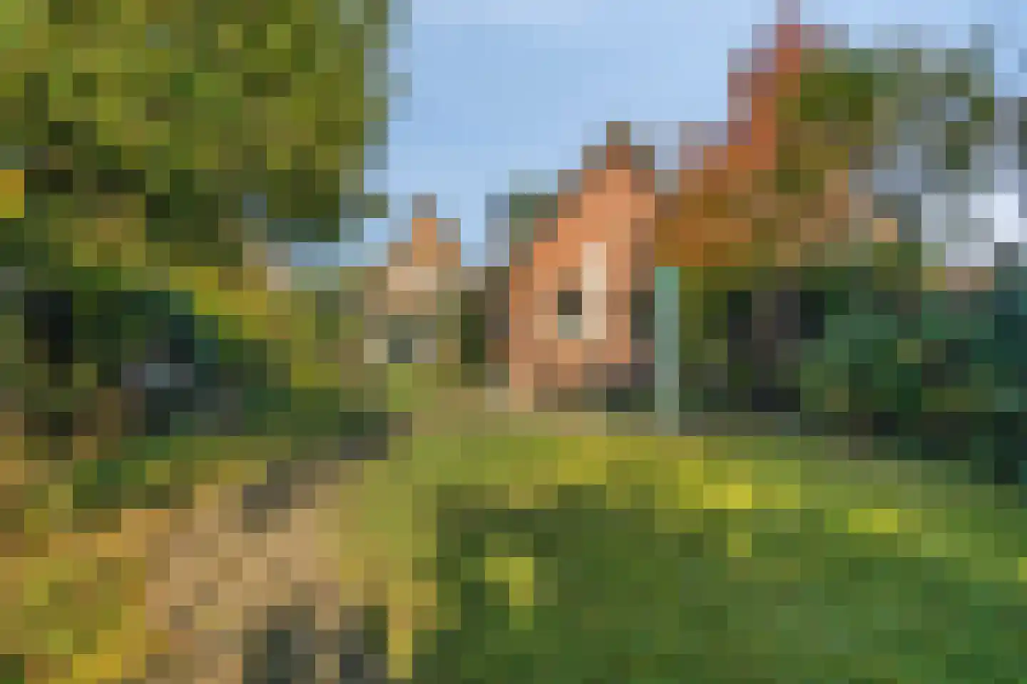 Valkenweg 125 Apeldoorn thumbnail 4