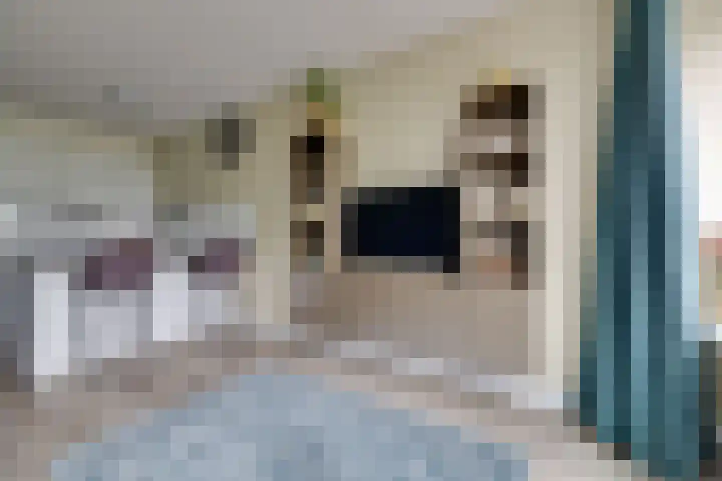 Valkenweg 132 Apeldoorn thumbnail 7
