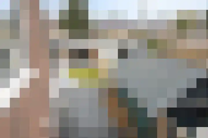 Valkenweg 158 Apeldoorn thumbnail 21