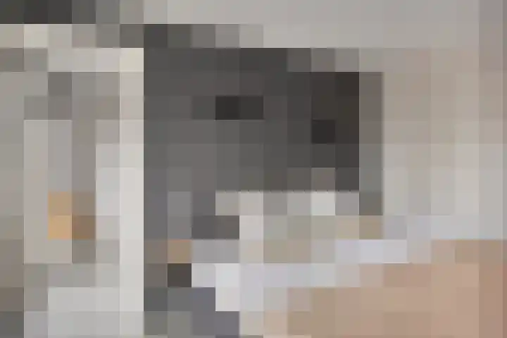 Valkenweg 158 Apeldoorn thumbnail 23