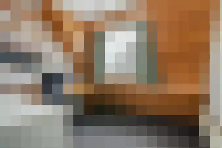 Valkenweg 69 Apeldoorn thumbnail 18