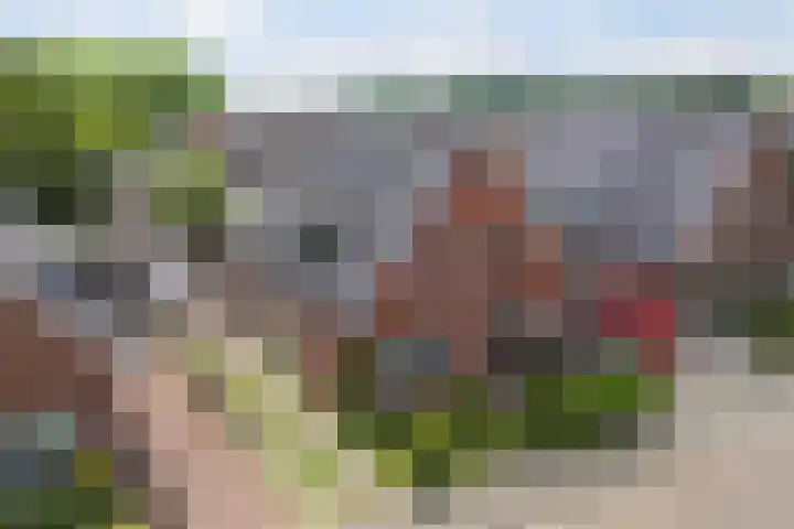 Valkenweg 69 Apeldoorn thumbnail 29