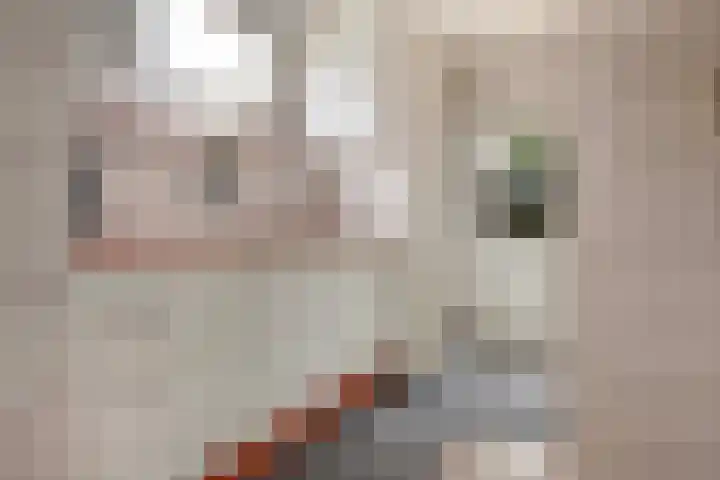 Valkenweg 69 Apeldoorn thumbnail 7