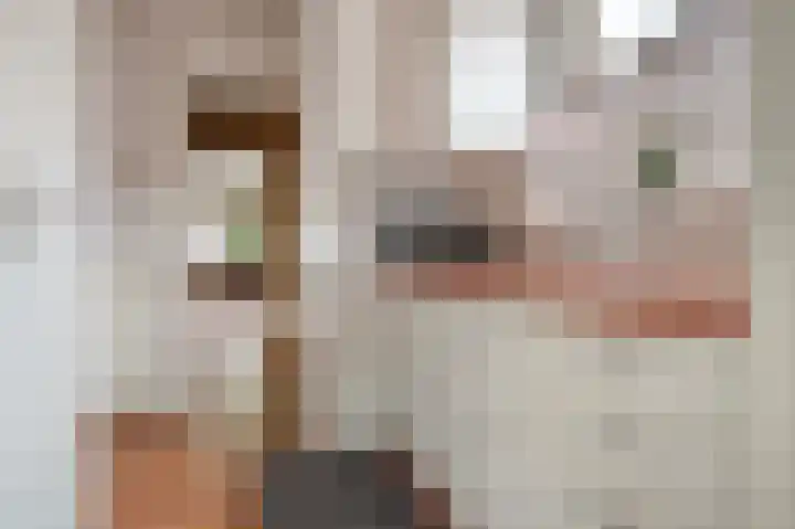 Valkenweg 69 Apeldoorn thumbnail 8