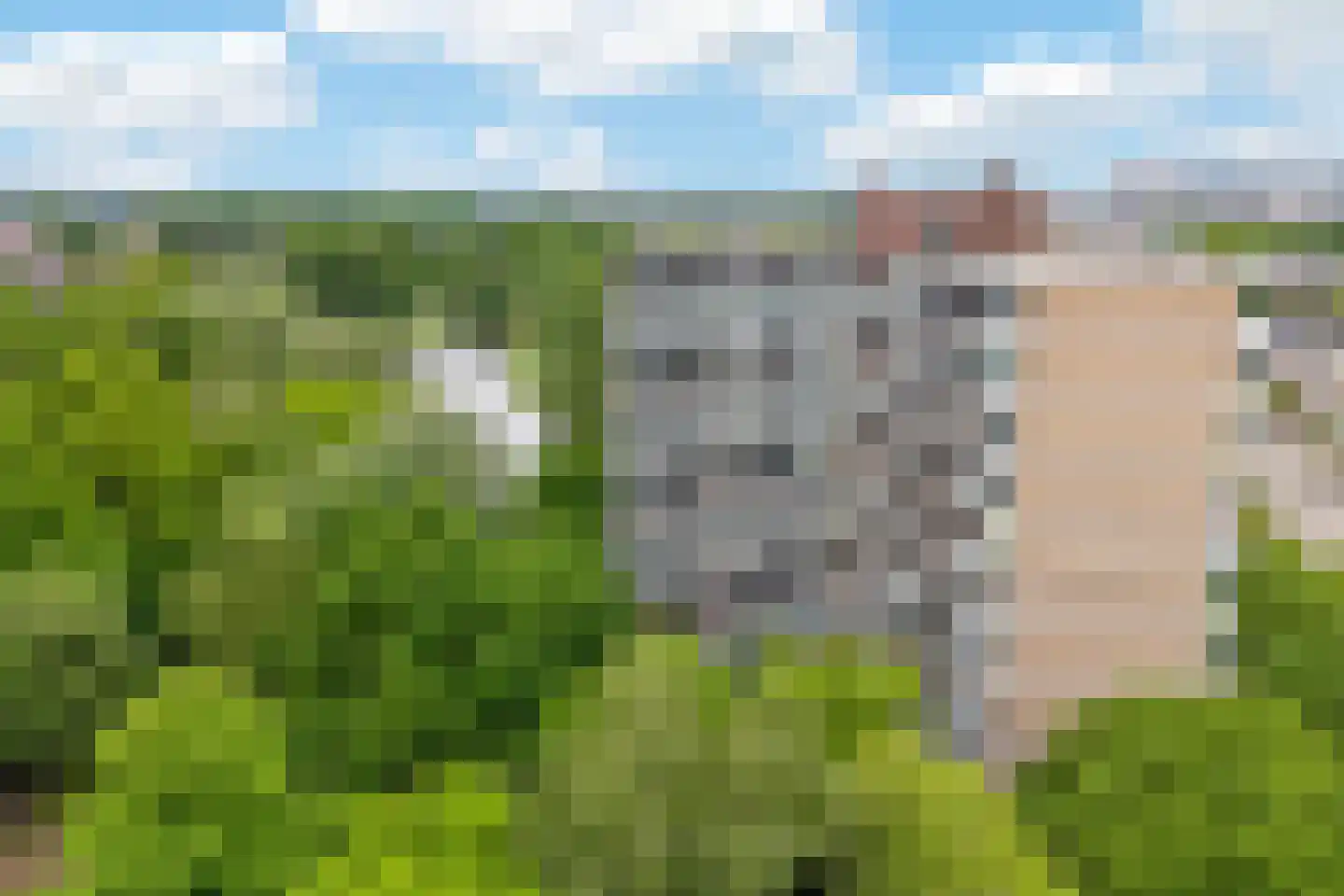 Valkestein 1007 Ede thumbnail 27