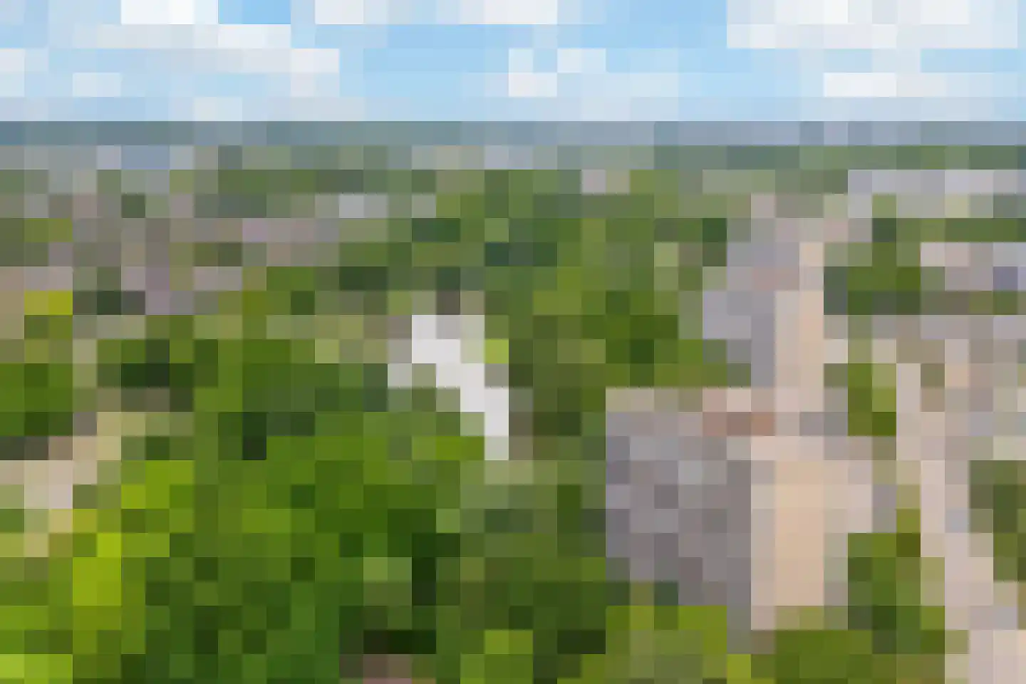 Valkestein 1007 Ede thumbnail 32