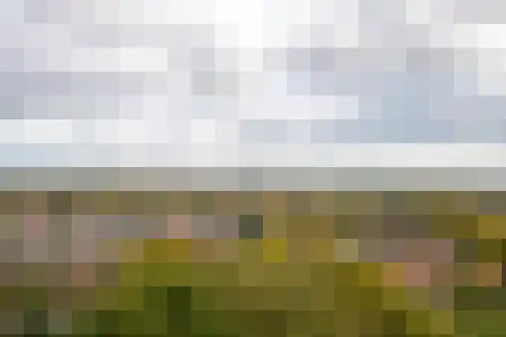 Valkestein 1101 Ede thumbnail 17