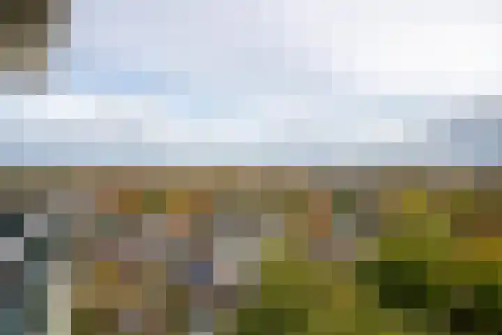 Valkestein 1101 Ede thumbnail 19
