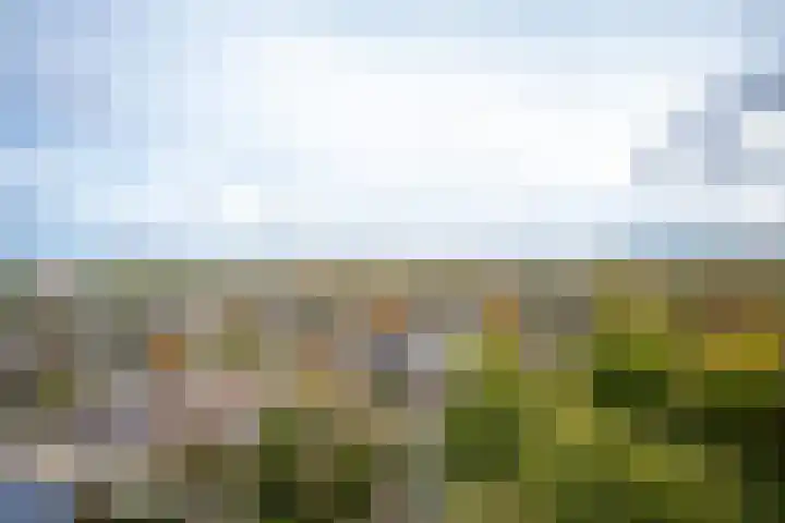 Valkestein 1101 Ede thumbnail 20