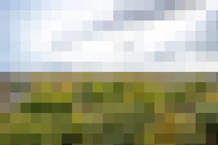 Valkestein 1101 Ede thumbnail 21