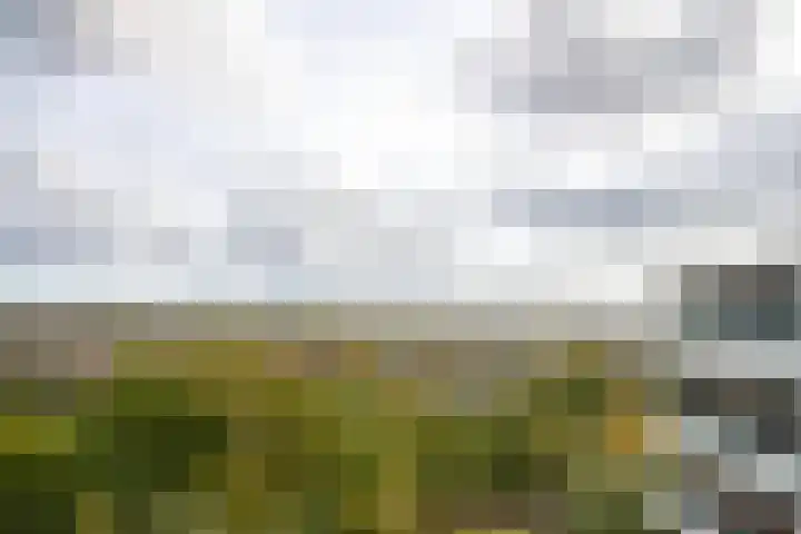 Valkestein 1101 Ede thumbnail 22