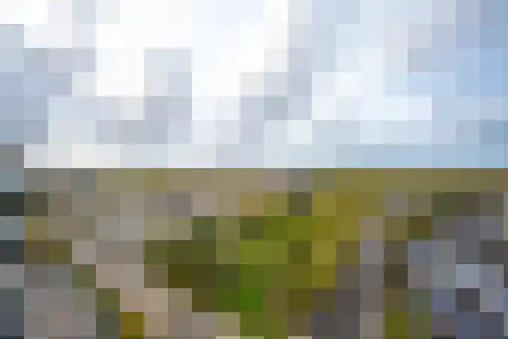Valkestein 1101 Ede thumbnail 54