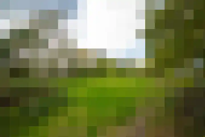 Valkestein 1101 Ede thumbnail 57