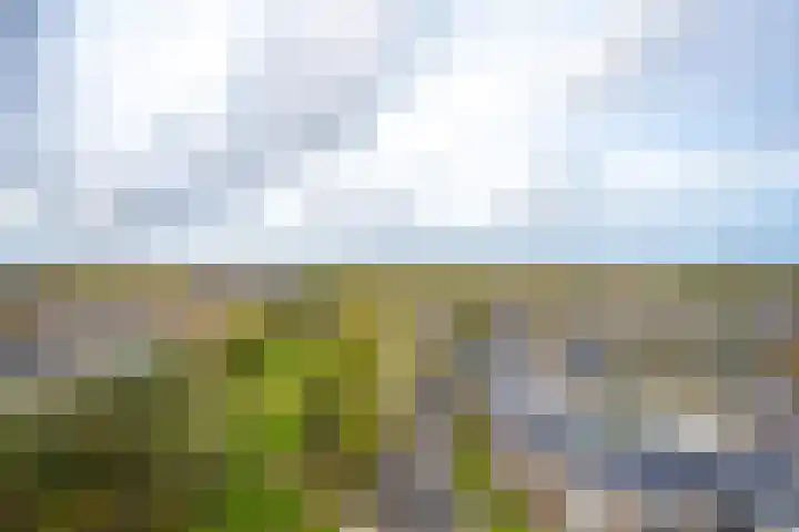 Valkestein 1101 Ede thumbnail 6