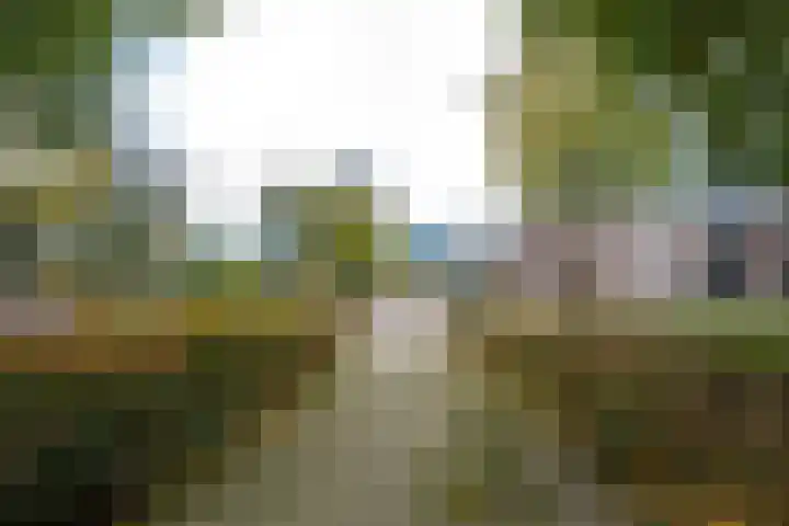 Valkestein 1101 Ede thumbnail 61