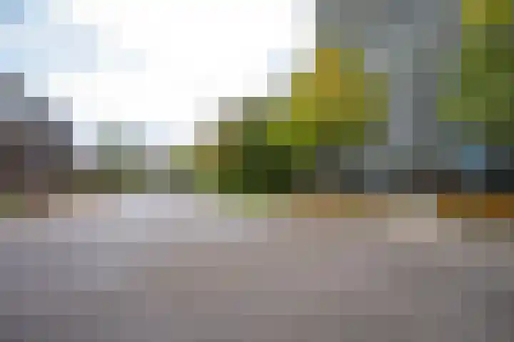 Valkestein 1101 Ede thumbnail 62
