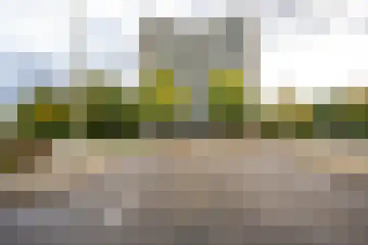 Valkestein 1101 Ede thumbnail 63